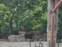 -上海野生动物园老虎餐厅