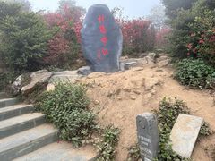 -梧桐山风景名胜区