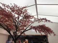 -艾薯夫妇Aysh(福田星河COCOPark店)