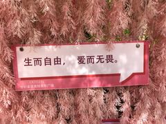 -贵安欢乐世界