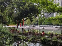 -成都市活水公园