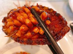 -渔公码头·九龙湾国际饭店