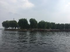 -白洋淀景区