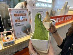 -野人先生现做冰淇淋(西安赛格店)