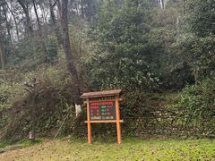 -常德桃花源景区