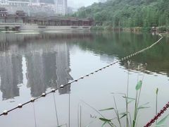 -重庆彩云湖湿地公园