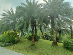 -云溪植物园