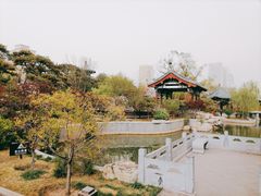 -迎泽公园