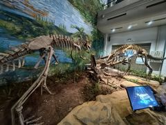 -自贡恐龙博物馆
