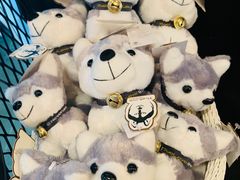 -TrueLove @ Neverland (Husky Cafe)