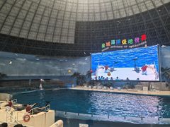 -泉城欧乐堡海洋极地世界