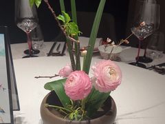 -蘇锦宴·淮扬菜烤鸭·小院(三元桥霄云路店)