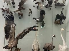 -国家自然博物馆