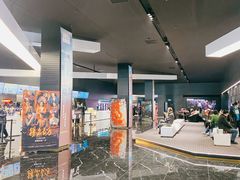 -奥斯卡升龙国际影城(RealD Cinema)