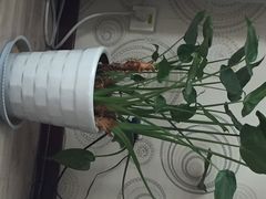 新九寨宾馆-保利·新九寨宾馆