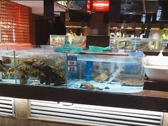 -阿伟海鲜楼·福建菜(延寿店)