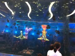 -瑞德姆美人鱼海底演艺主题餐厅(亚龙湾店)