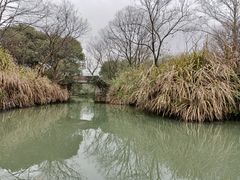 -西溪国家湿地公园