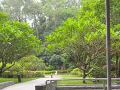 -南宁荔园维景国际酒店·荔园中餐厅