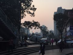 -海盗虾饭·剥好的小龙虾饭(SOHO尚都店)