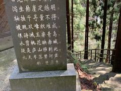 -东天目山风景区