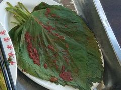 苏子叶-西塔大冷面(市府大路店)