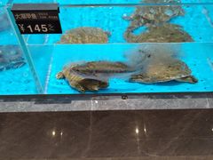 -艳阳天·非遗楚菜(武汉客厅店)