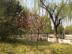 -丰台花园