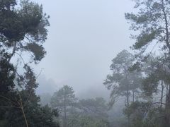 -白云山风景名胜区