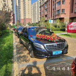 -宁波甬诚婚车(新典路店)