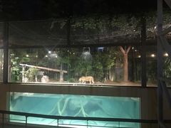 -清迈夜间动物园