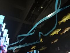 -同济大学四平路校区深海探索馆
