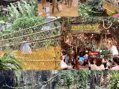 -正佳雨林生态植物园