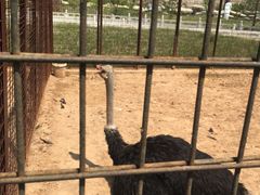 -山西乌金山旅游区