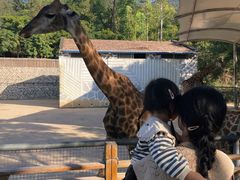 -泉州海丝野生动物世界