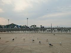 -东港音乐喷泉广场