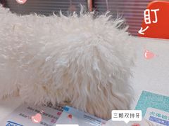 -伟伟宠物医院·CT影像中心·瑞派犬猫综合性门诊(汉口总院)