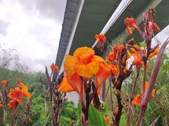 -贵阳市花溪国家城市湿地公园