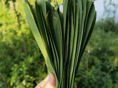 -南京市无想山景区