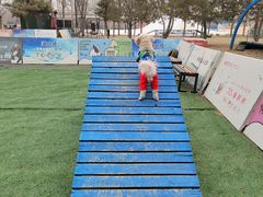 -宠乐会宠物乐园