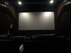 -天幕新彩云国际影城(激光巨幕店)