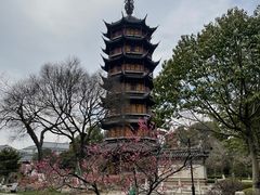 -红梅公园