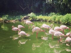 -广州动物园