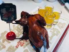 -大鸽饭(动物园店)