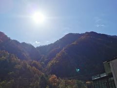 -牛背梁国家森林公园