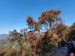 -广州市石门国家森林公园
