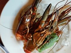 -西安凯悦酒店-自助餐厅·海鲜·烧烤