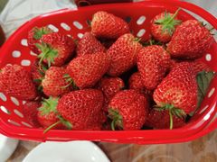 -瓦房兔(璧山店)