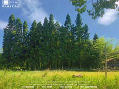 -重庆雨台山风景区