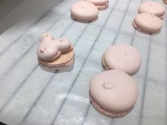 -ABC Cooking Studio(北京颐堤港店)